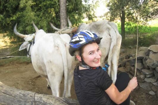 Colors of Rajasthan on Bicycles