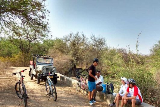 Wildlife Cycle Safari (Treasure Hunt)
