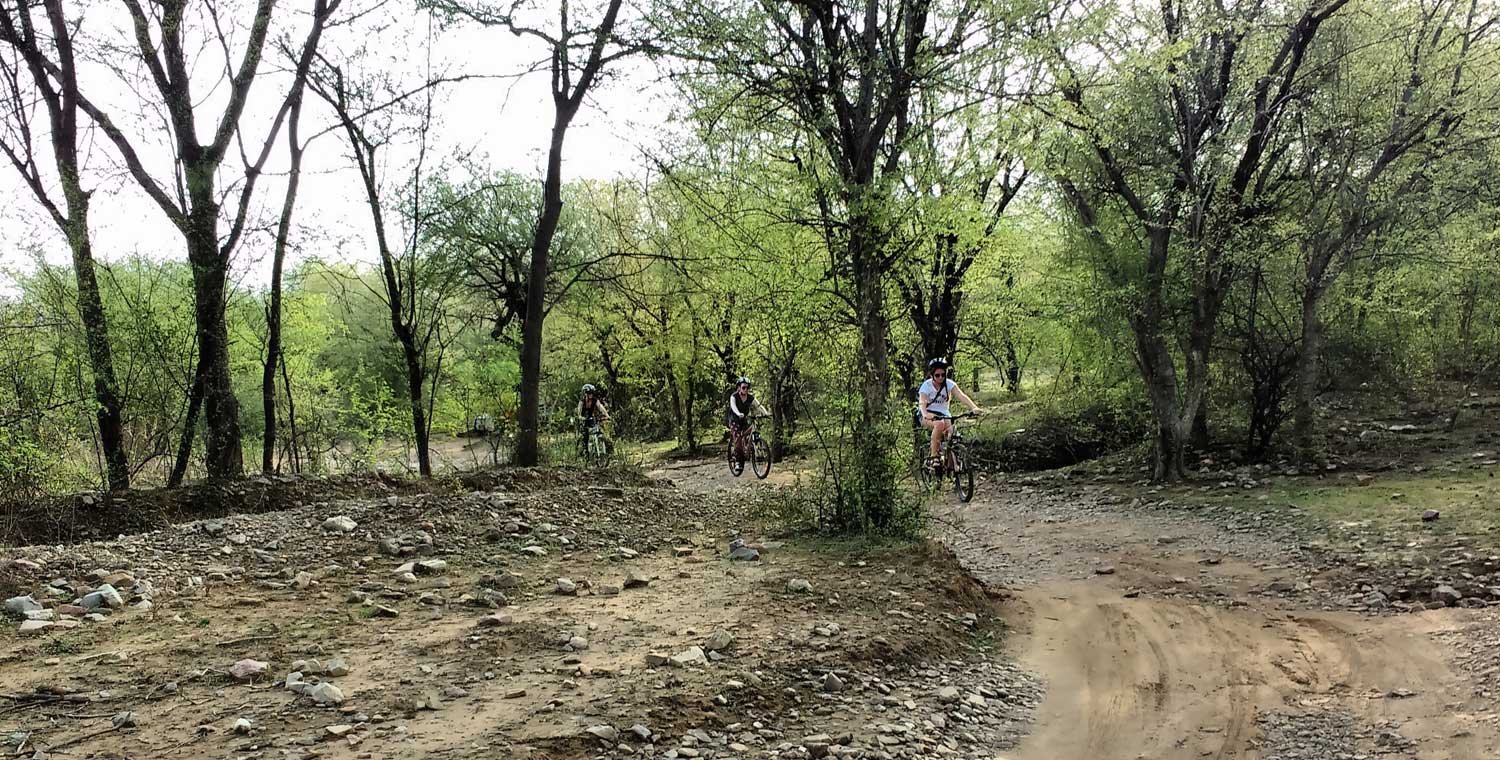 Wildlife Cycle Safari (Treasure Hunt)