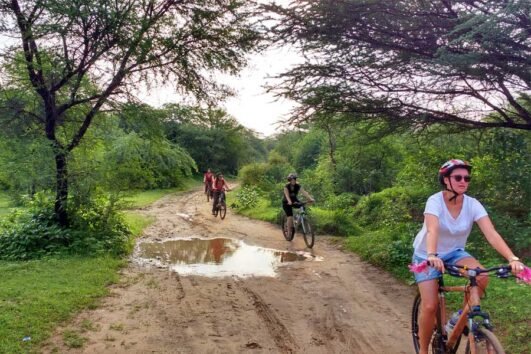 Jaipur Sariska Cycling Tour 1Nts 2Days