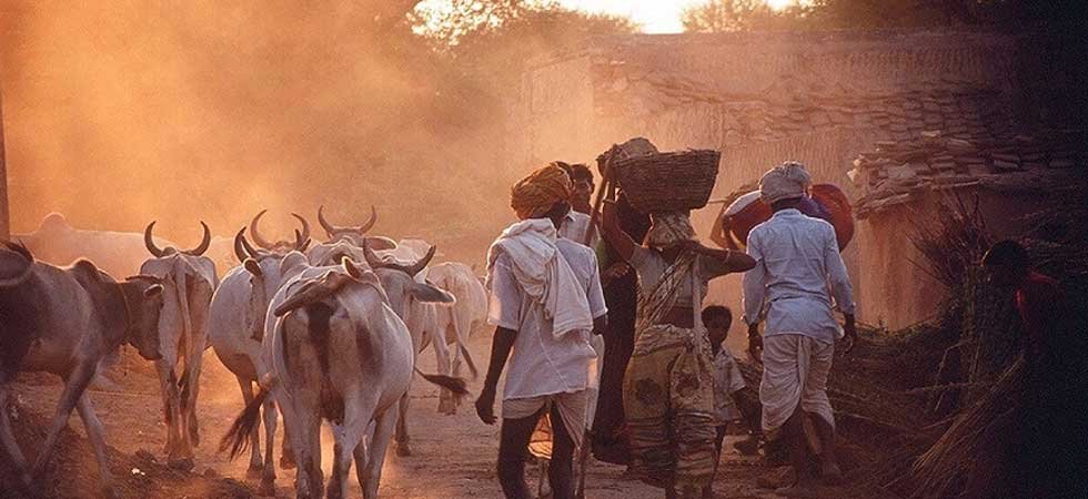 Ride to cow Rescue Center