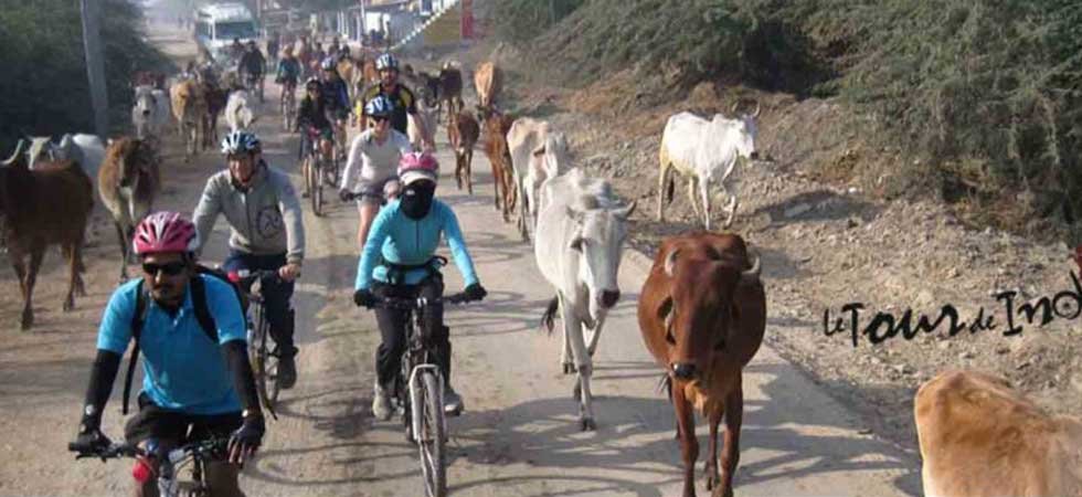 Adventure Cycling Rajasthn