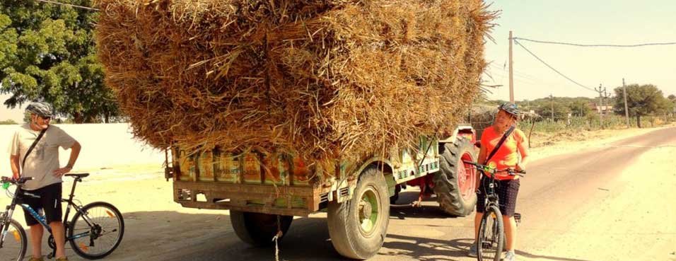 Rajasthan holiday packages