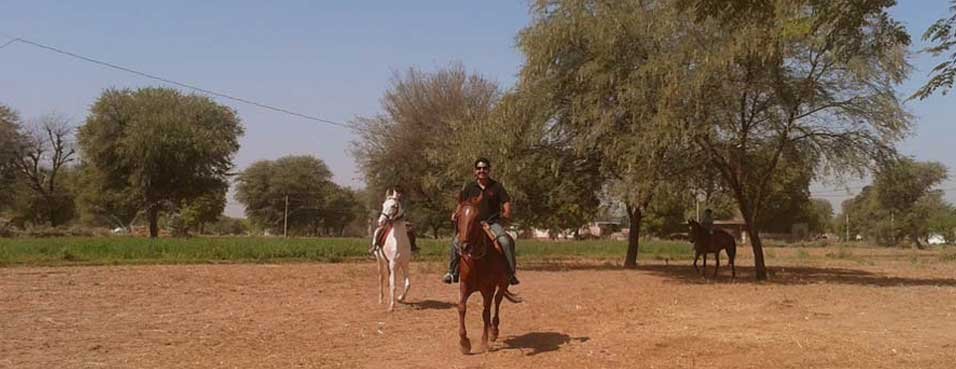 Jaipur Horse Riding Adventure