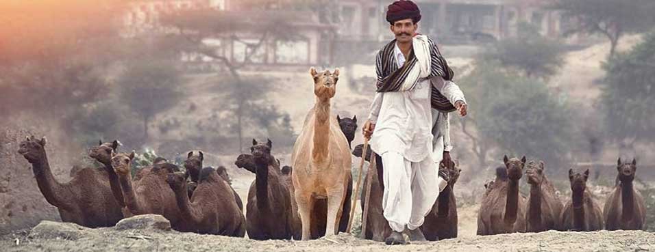 Tour Package in Pushkar Rajasthan