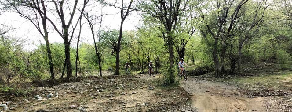Wildlife Cycling in Nahargarh Rescue Center