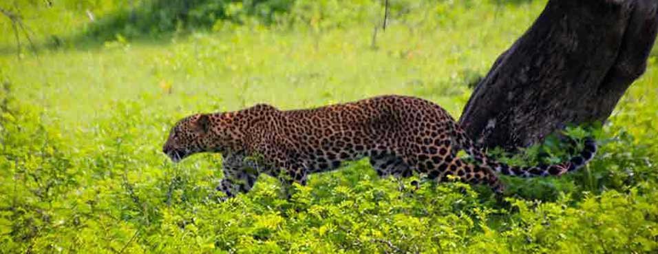 Bike Trip to Bhangarh and Sariska