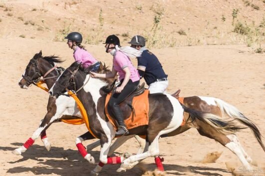 Kalwar Sambhar Horse Safari