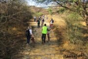 Things-to-do-in-Sariska