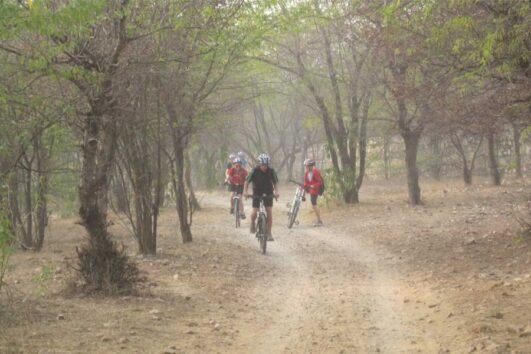 Jaipur Treasure Hunt For Students