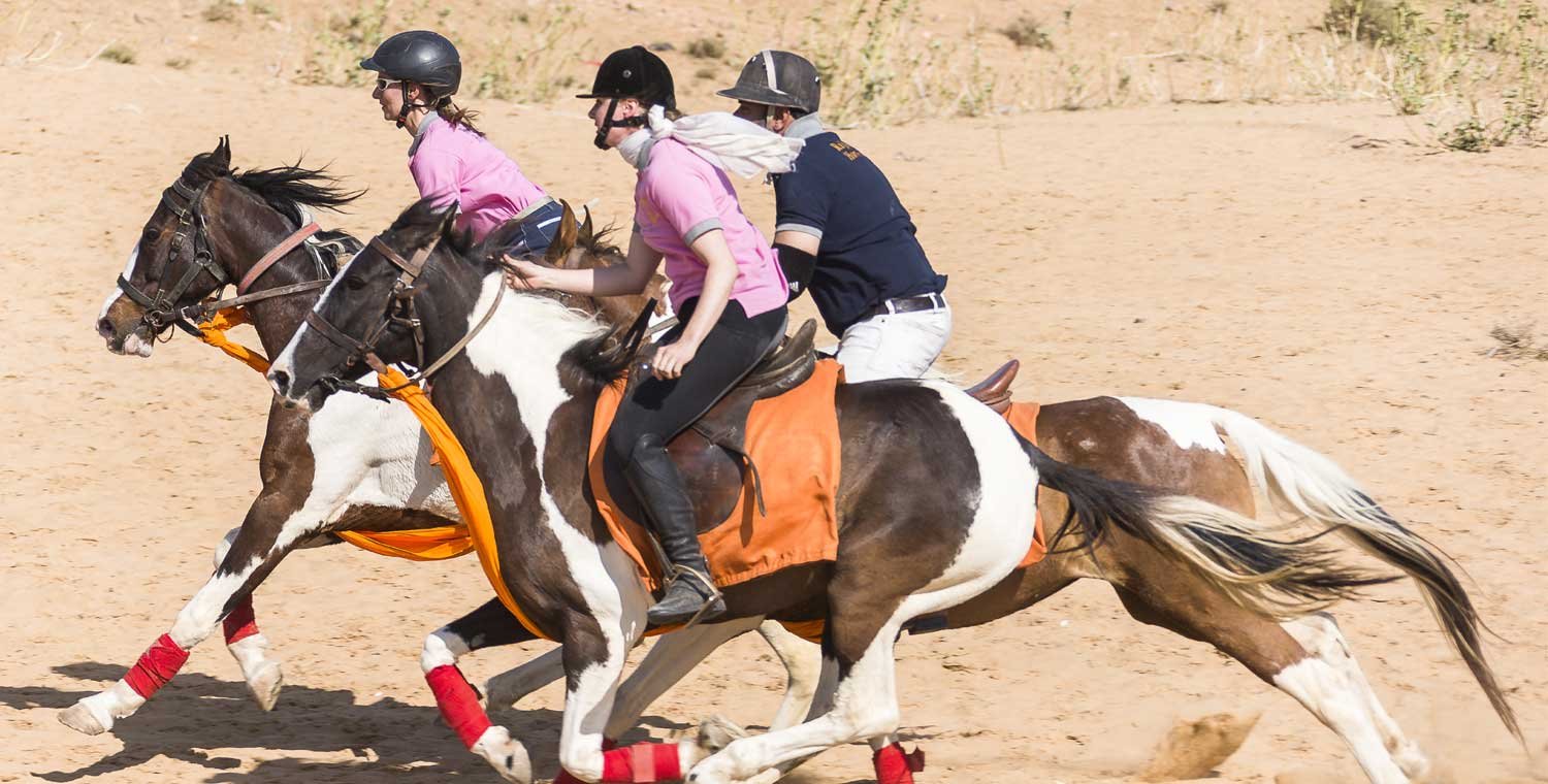Kalwar Sambhar Horse Safari