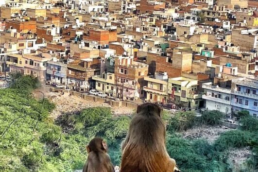 Photo Adventure Tour