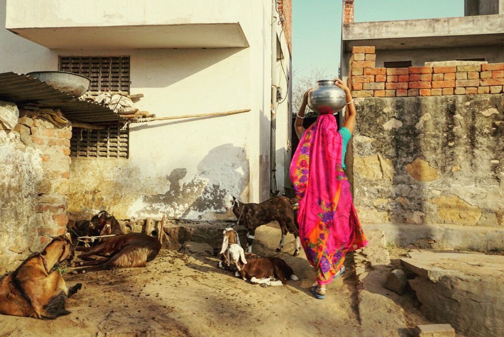 Udaipur village Visit