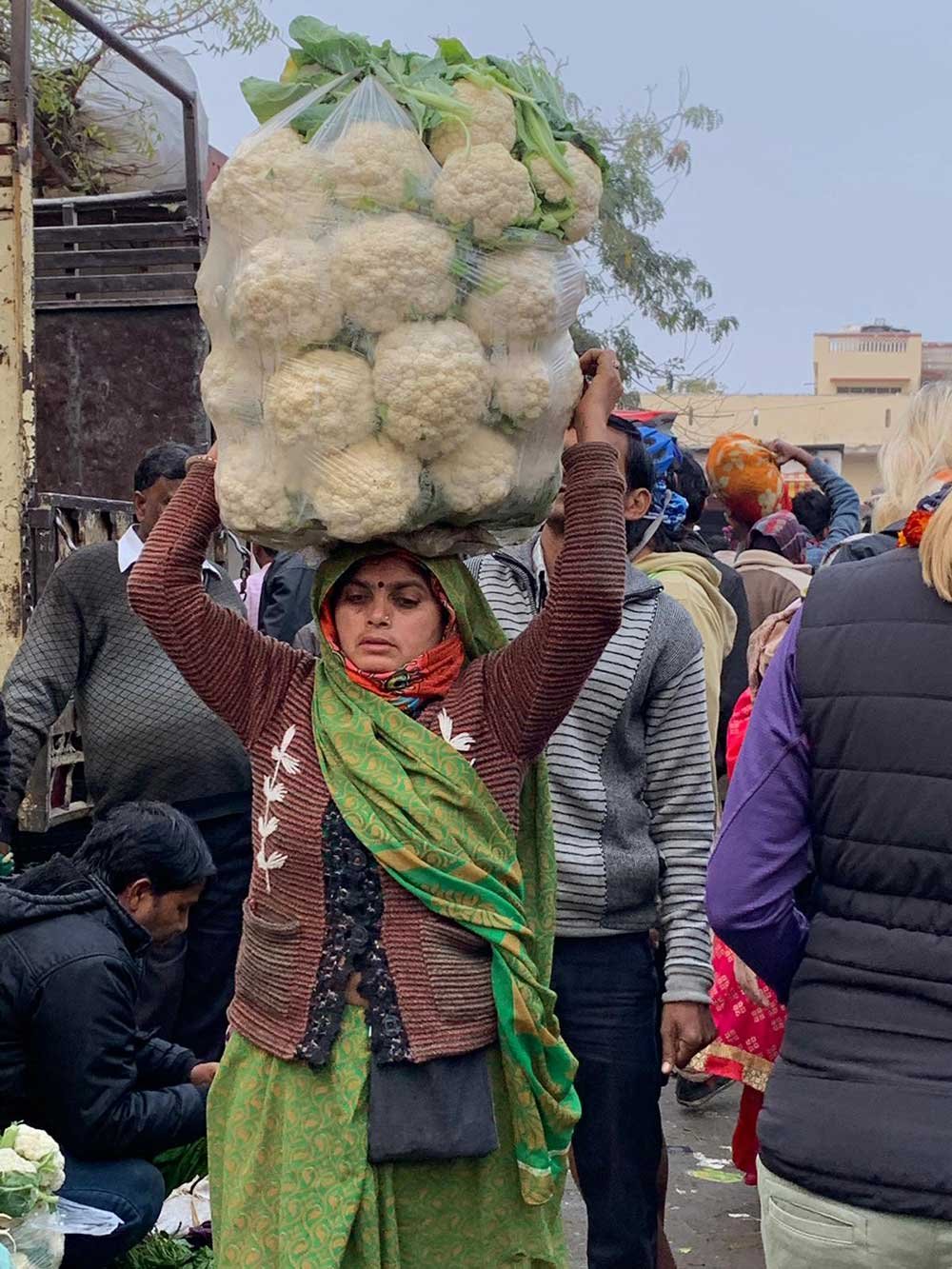 walking tours in udaipur