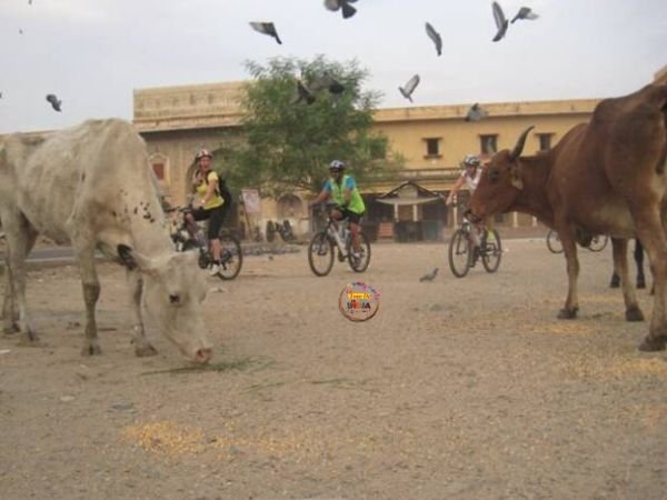 Jaipur Tour by Bike